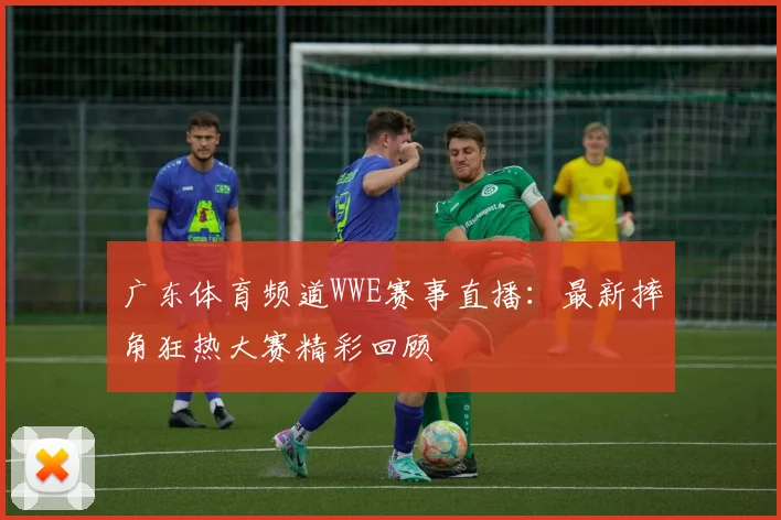 广东体育频道WWE赛事直播:最新摔角狂热大赛精彩回顾