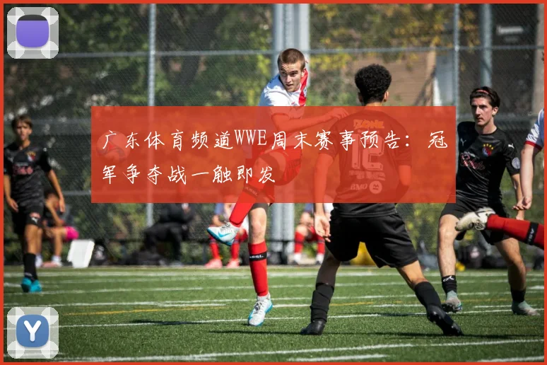 广东体育频道WWE周末赛事预告:冠军争夺战一触即发