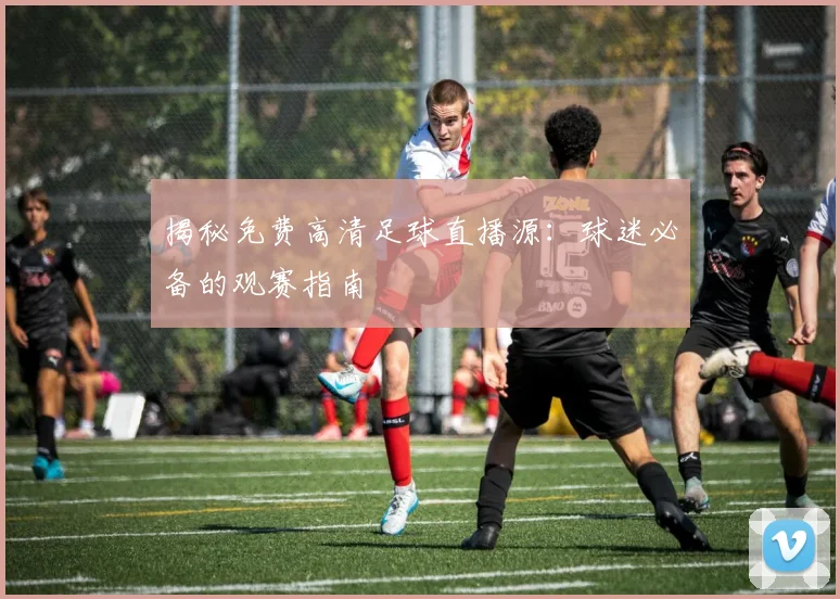 揭秘免费高清足球直播源:球迷必备的观赛指南