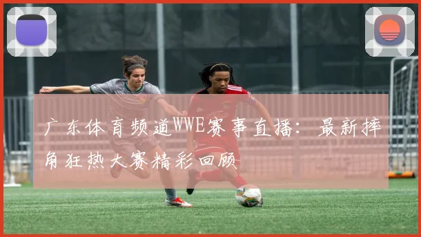 广东体育频道WWE赛事直播:最新摔角狂热大赛精彩回顾