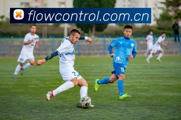 爱游戏ayx在线登录发展历程